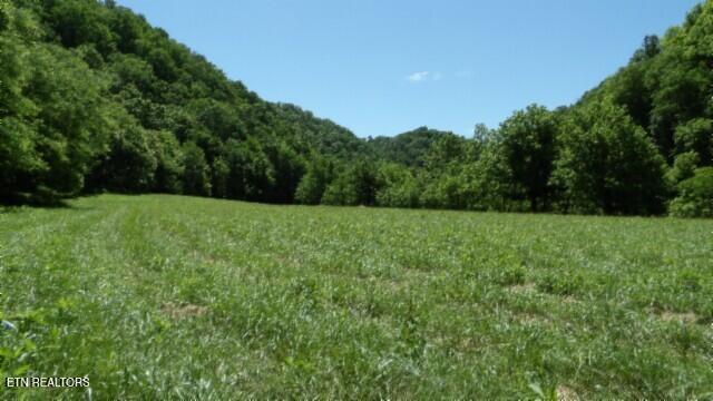 0 Brimstone Creek Rd, Moss, TN 38575