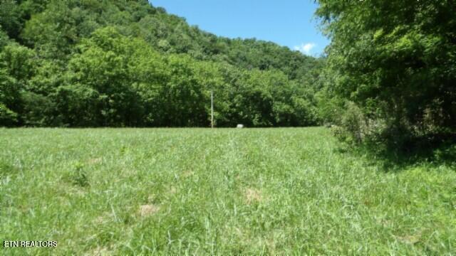 0 Brimstone Creek Rd, Moss, TN 38575