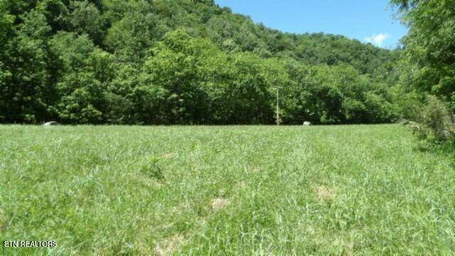 0 Brimstone Creek Rd, Moss, TN 38575