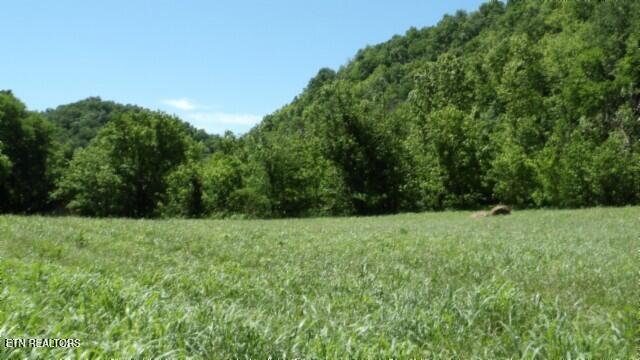 0 Brimstone Creek Rd, Moss, TN 38575
