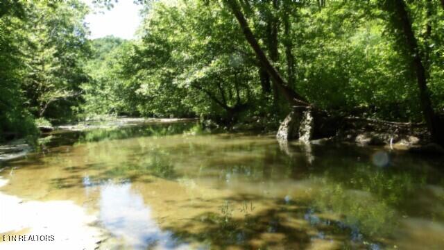 0 Brimstone Creek Rd, Moss, TN 38575
