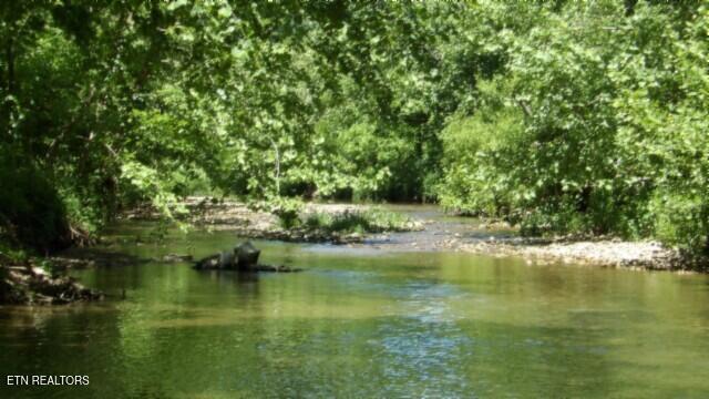 0 Brimstone Creek Rd, Moss, TN 38575