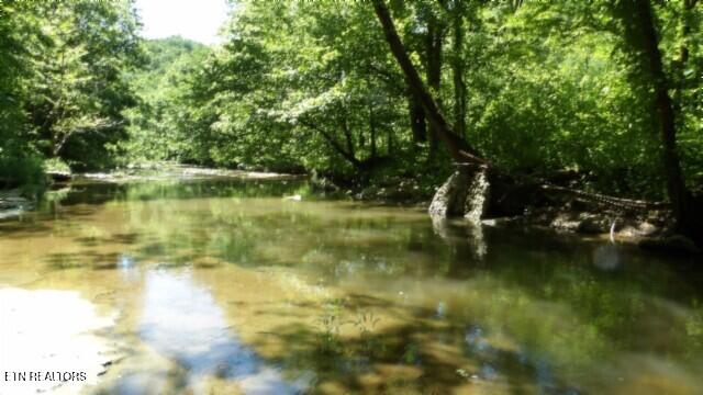 0 Brimstone Creek Rd, Moss, TN 38575