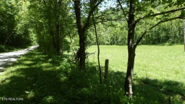 0 Brimstone Creek Rd, Moss, TN 38575