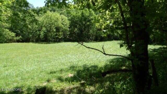 0 Brimstone Creek Rd, Moss, TN 38575