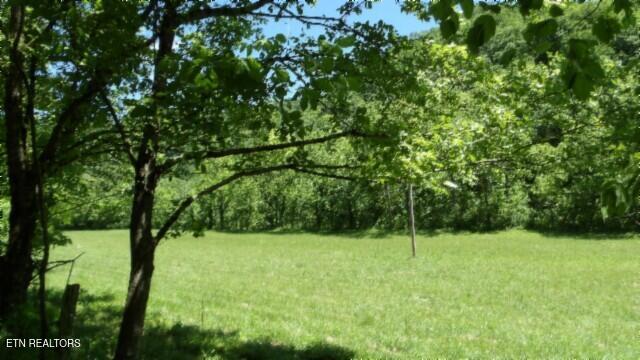 0 Brimstone Creek Rd, Moss, TN 38575