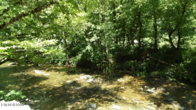 0 Brimstone Creek Rd, Moss, TN 38575