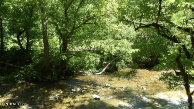 0 Brimstone Creek Rd, Moss, TN 38575