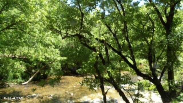 0 Brimstone Creek Rd, Moss, TN 38575