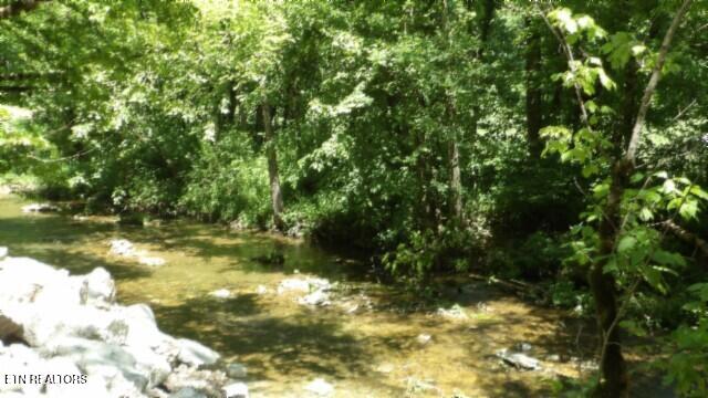 0 Brimstone Creek Rd, Moss, TN 38575
