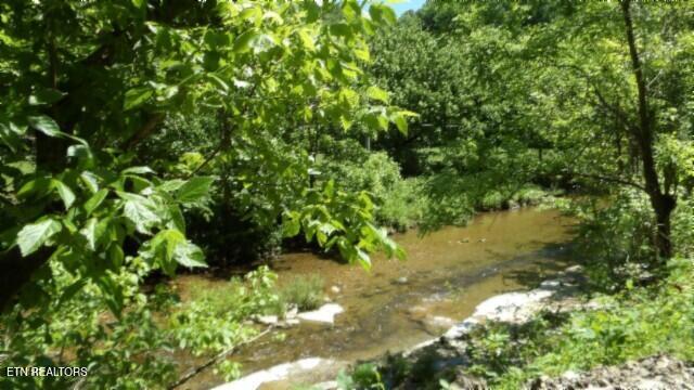 0 Brimstone Creek Rd, Moss, TN 38575