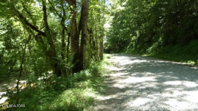 0 Brimstone Creek Rd, Moss, TN 38575