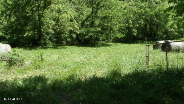 0 Brimstone Creek Rd, Moss, TN 38575