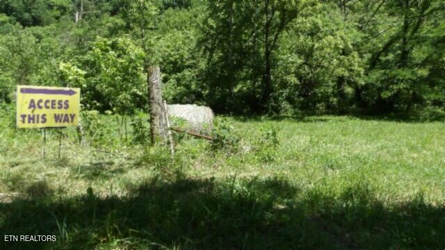 0 Brimstone Creek Rd, Moss, TN 38575