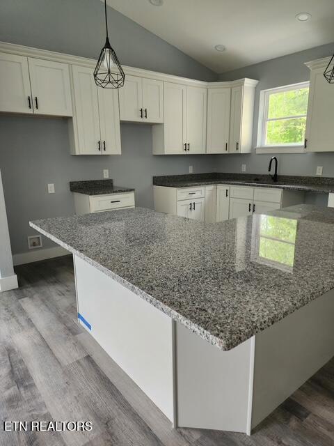 176 Flat Hollow Marina Rd, Speedwell, TN 37870 - photo 30