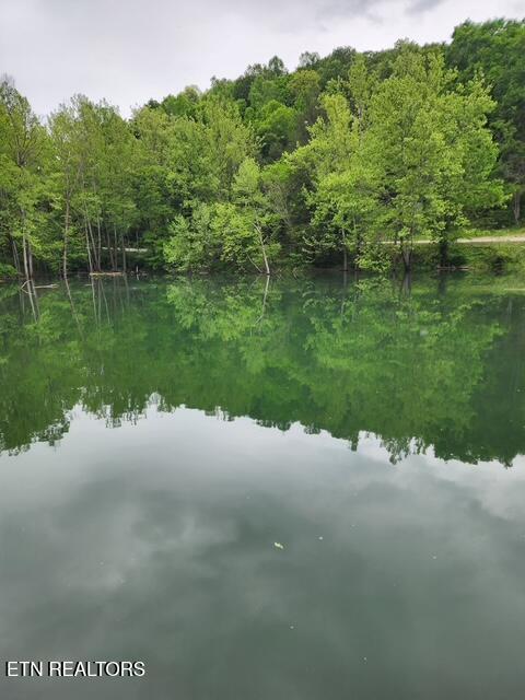 176 Flat Hollow Marina Rd, Speedwell, TN 37870 - photo 8