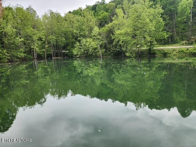 176 Flat Hollow Marina Rd, Speedwell, TN 37870 - photo 6