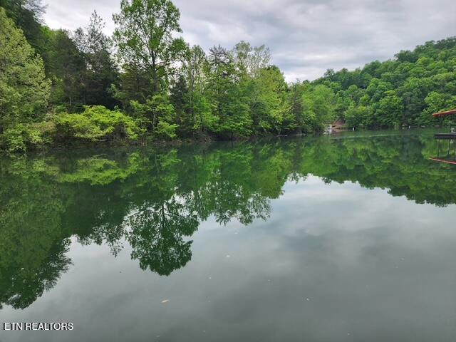 176 Flat Hollow Marina Rd, Speedwell, TN 37870 - photo 9