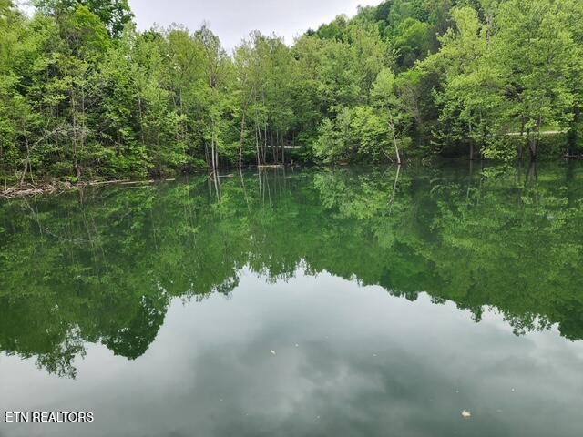 176 Flat Hollow Marina Rd, Speedwell, TN 37870 - photo 10