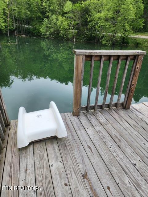 176 Flat Hollow Marina Rd, Speedwell, TN 37870 - photo 7