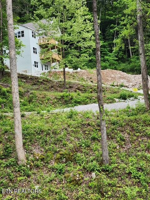 176 Flat Hollow Marina Rd, Speedwell, TN 37870 - photo 4