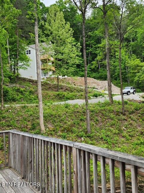 176 Flat Hollow Marina Rd, Speedwell, TN 37870 - photo 12