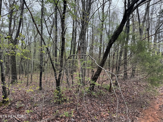 Taywell Dr, Madisonville, TN 37354