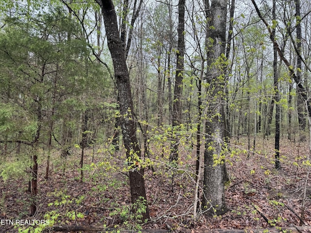 Taywell Dr, Madisonville, TN 37354