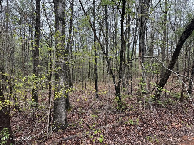 Taywell Dr, Madisonville, TN 37354