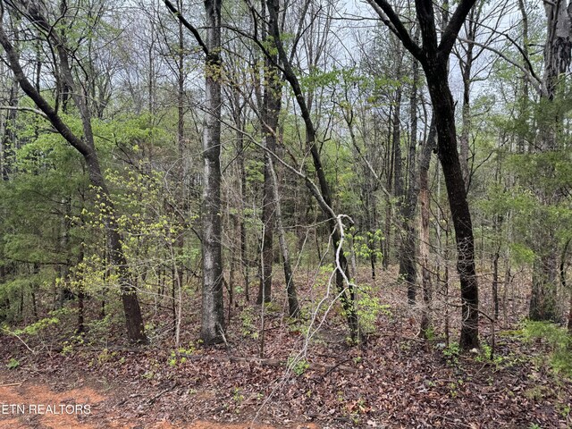 Taywell Dr, Madisonville, TN 37354
