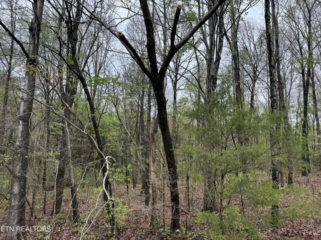 Taywell Dr, Madisonville, TN 37354