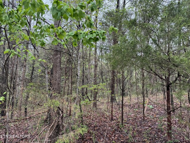 Taywell Dr, Madisonville, TN 37354