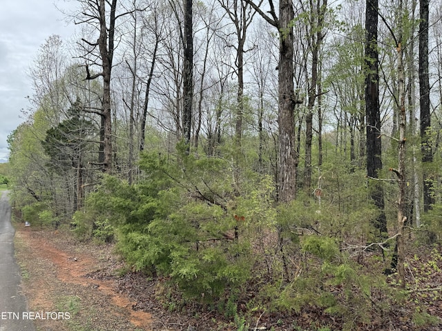 Taywell Dr, Madisonville, TN 37354
