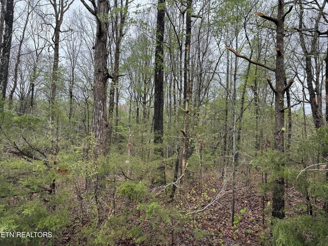 Taywell Dr, Madisonville, TN 37354