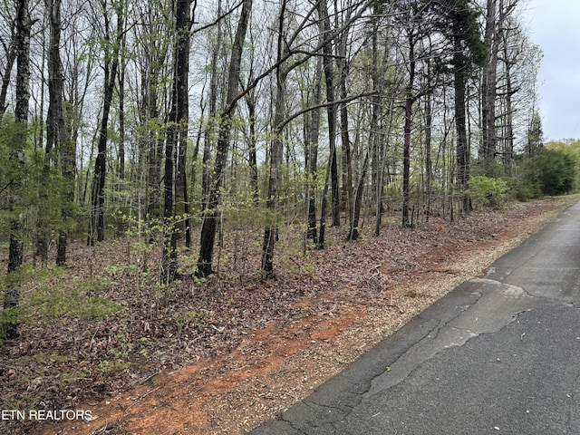 Taywell Dr, Madisonville, TN 37354