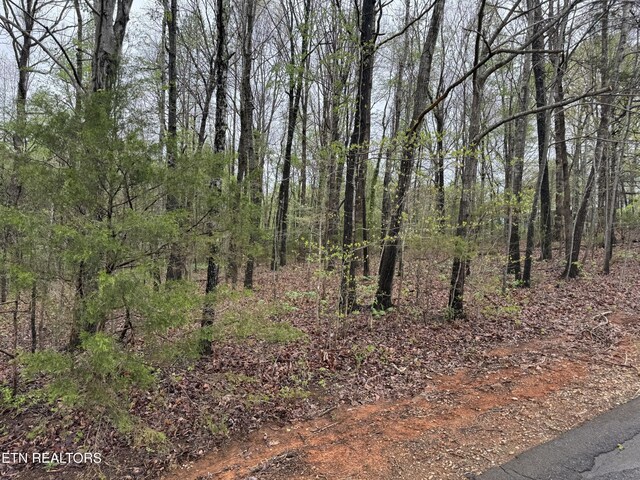 Taywell Dr, Madisonville, TN 37354