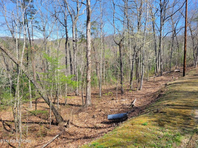LOT10 Black Oak Dr, Sevierville, TN 37876 - photo 4