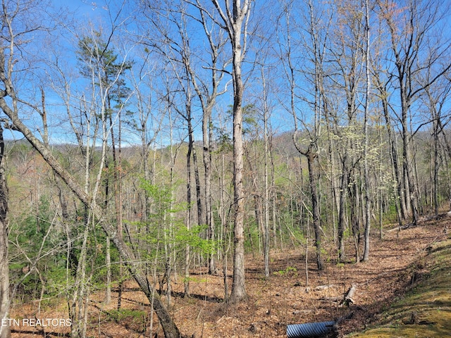 LOT10 Black Oak Dr, Sevierville, TN 37876 - photo 1