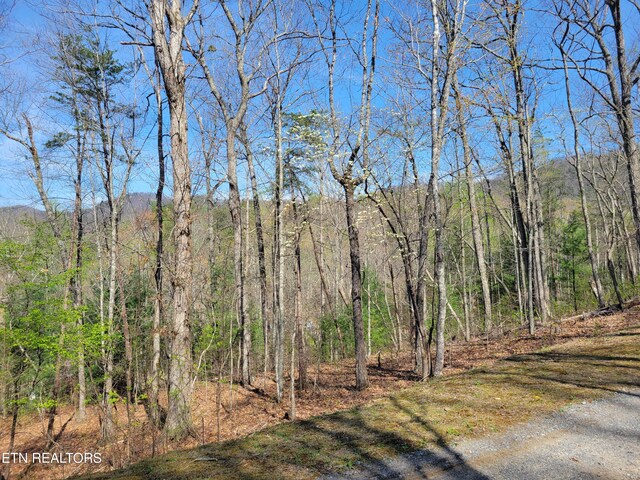 LOT10 Black Oak Dr, Sevierville, TN 37876 - photo 5