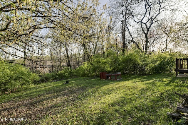 view of yard