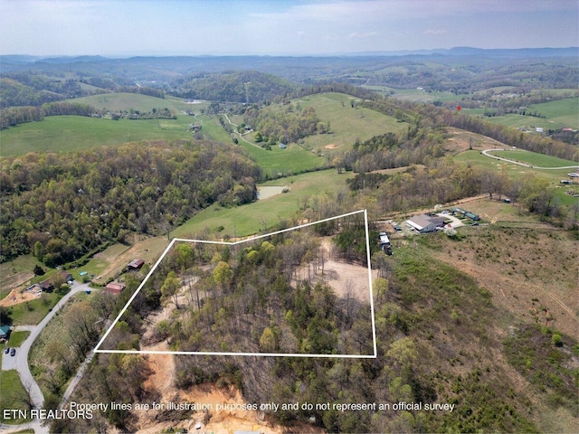 Cole Hollow Rd, New Tazewell, TN 37825