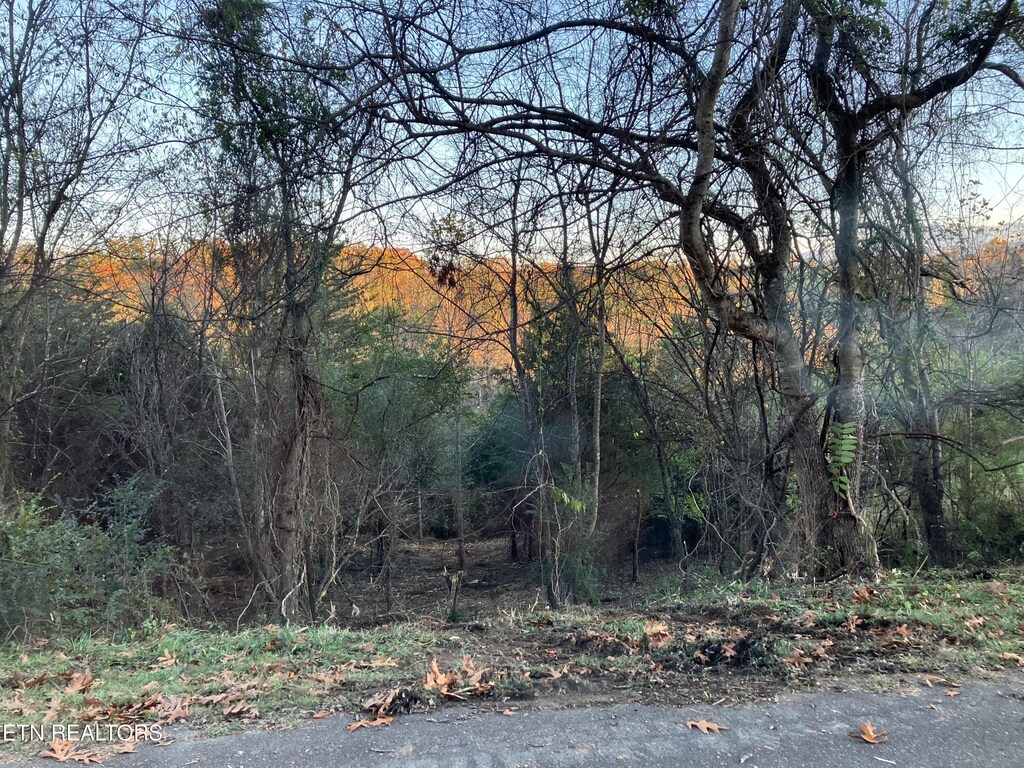 English Fields Dr, Newport, TN 37821 - photo 1