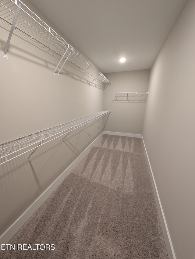 112 Roseberry St Lot 7B, Oak Ridge, TN 37830 - walk in closet with carpet flooring