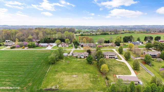 4744 Old Niles Ferry Rd, Maryville, TN 37801 - photo 41