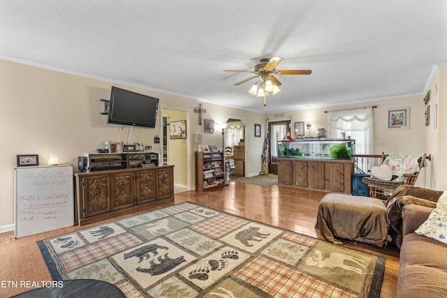 4744 Old Niles Ferry Rd, Maryville, TN 37801 - photo 9