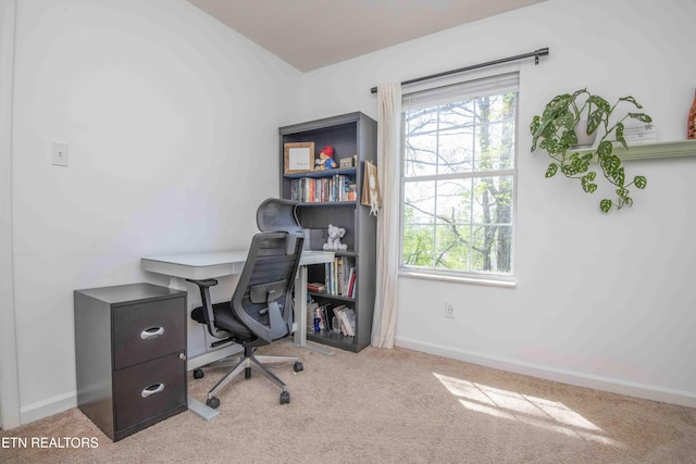 5836 Windtree Ln, Knoxville, TN 37921 - office area with carpet floors and baseboards
