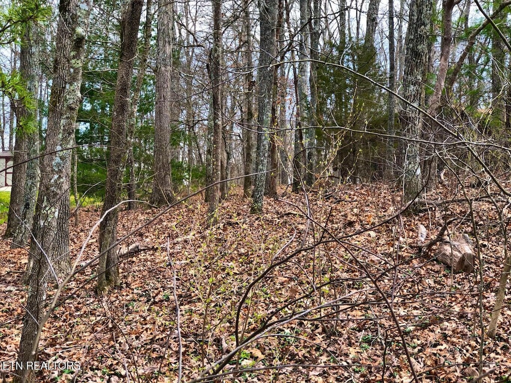 11 Oxford Cir, Crossville, TN 38558 - photo 1