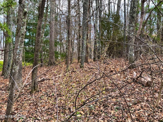 11 Oxford Cir, Crossville, TN 38558 - photo 1