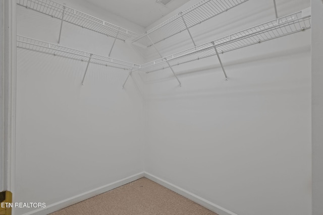 walk in closet with carpet