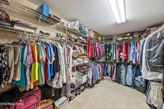 106 Mariners Dr, Fairfield Glade, TN 38558 - spacious closet with carpet flooring